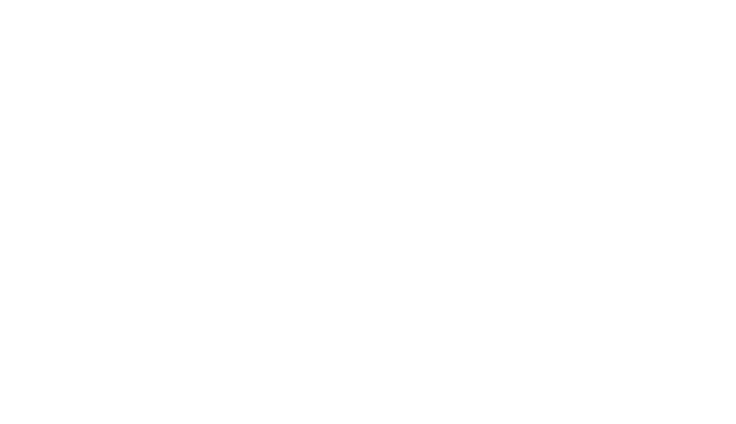 Friboi